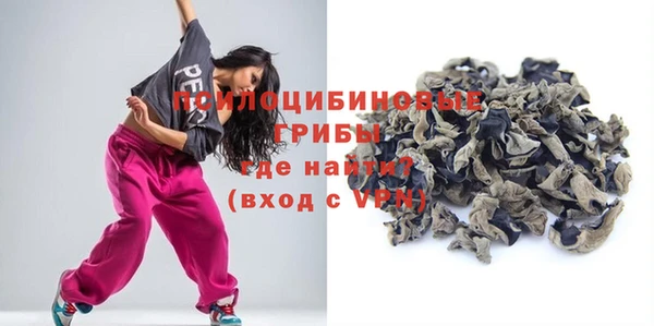 apvp Семилуки