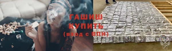 прущие грибы Краснотурьинск