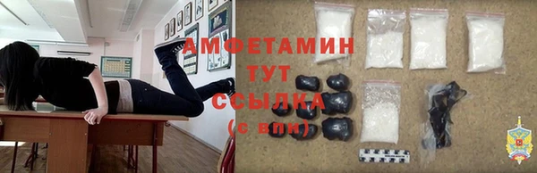 прущие грибы Краснотурьинск