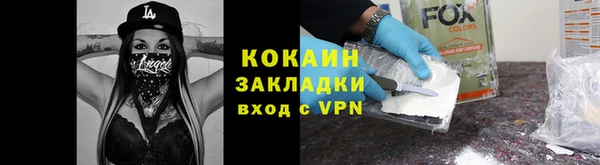 прущие грибы Краснотурьинск
