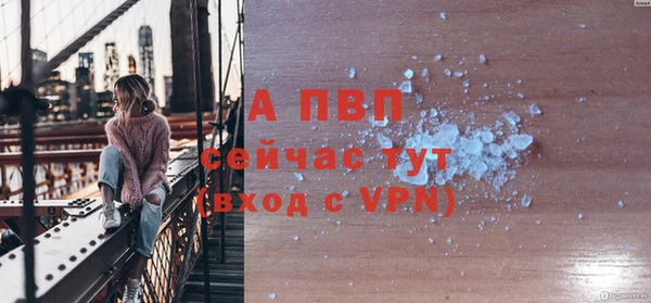 прущие грибы Краснотурьинск