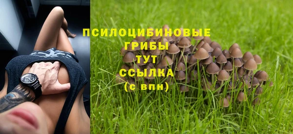 прущие грибы Краснотурьинск