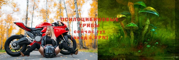 прущие крисы Красноперекопск